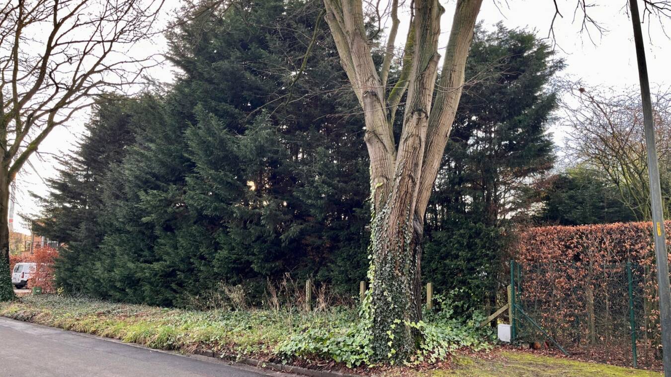 09902572D4Fd457C9Fa442E6Fd0Cab77