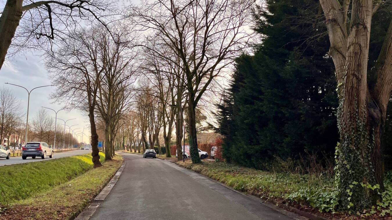 F1F9C3B2C64D484Db3692E39394Fe17B