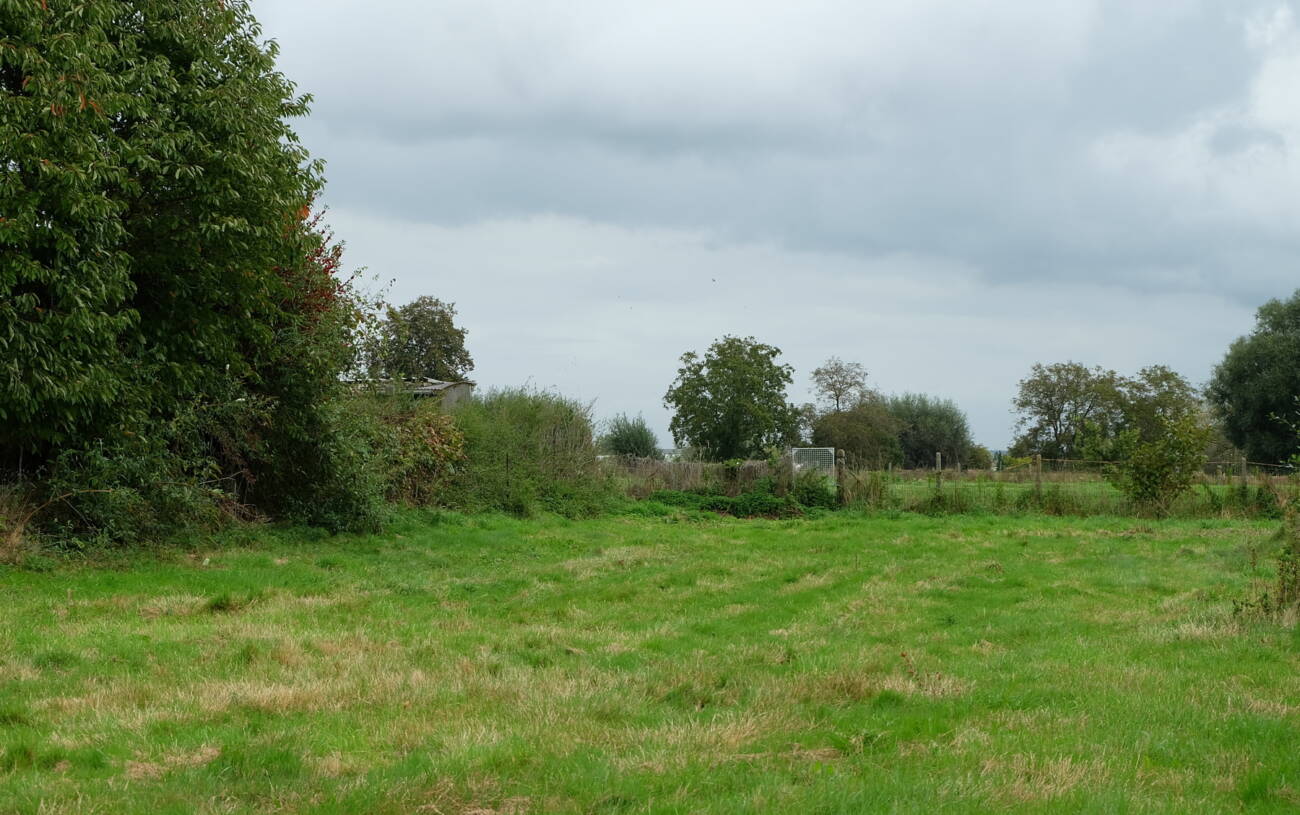 grond | Bouwgronden Haaltert