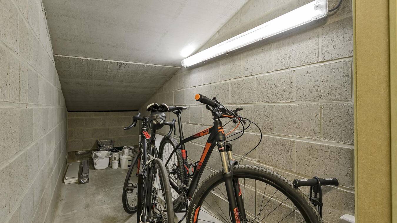 D5014Ed48Dc644B1B3Daef6764869B8D