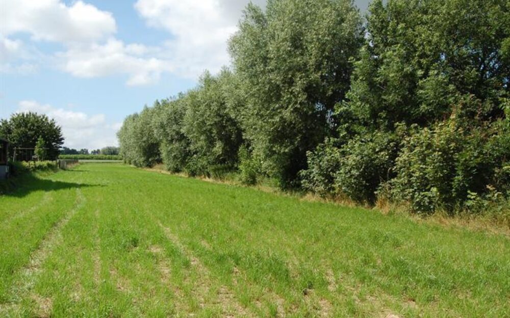 grond | Hillegem - Diepestraat