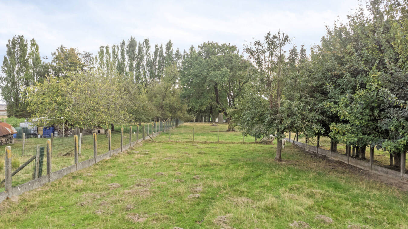 606D414686704Bccad68232268D48Bba