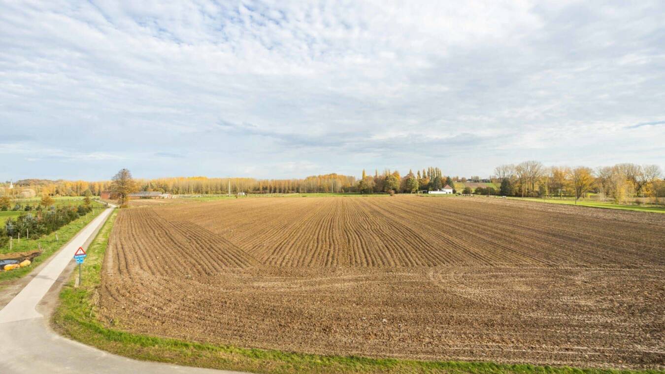 3Ee0Dc58Bce24082Acc72A4659959A90