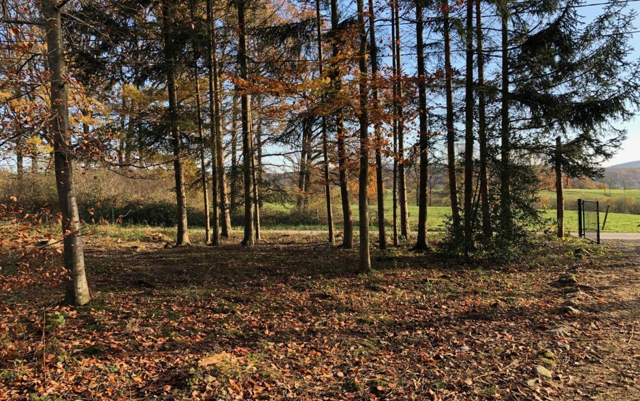 grond | Projectgrond Ardennen