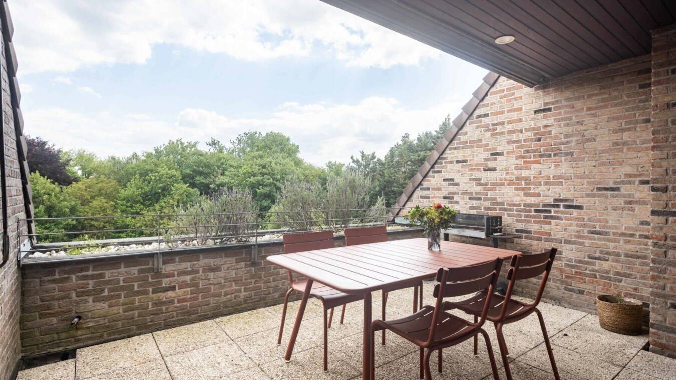 54185D5853Dd42B6A0F3282Fdf332355